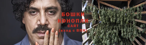 трава Надым