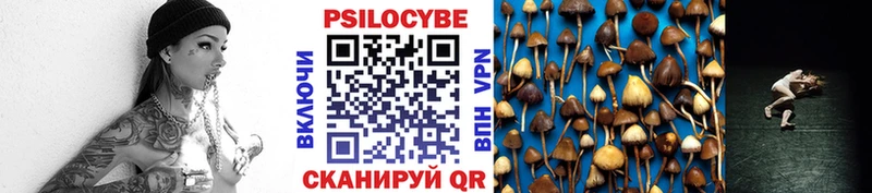 купить наркоту  Югорск  Псилоцибиновые грибы мицелий 