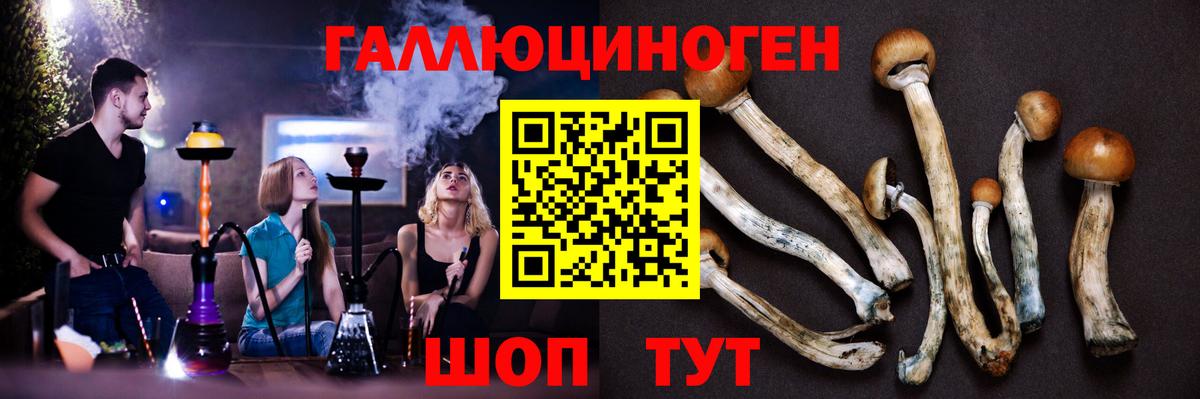 Югорск  Галлюциногенные грибы Psilocybe  Псилоцибиновые грибы Magic Shrooms  Вход с VPN 